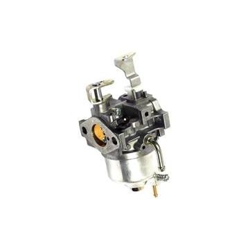 Briggs & Stratton Komple Vanguard 9 Hp Karbüratör