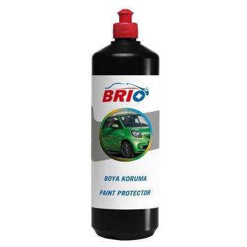 Brio 1 lt Boya Koruma