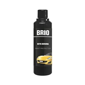Brio 250 ml Boya Koruma