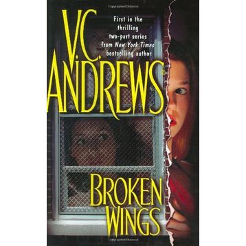 BROKEN WINGS - JAMES ROY