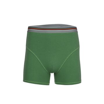 BSM 44503 Modal Çimen Yeşili Erkek Boxer