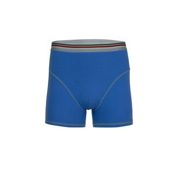 BSM 44503 Modal Saks Mavi Erkek Boxer