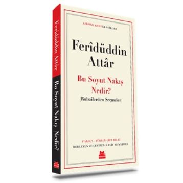 Bu Soyut Nakış Nedir? - Rubailerden Seçmeler - Feriüddin Attar
