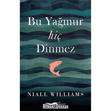 Bu Yağmur Hiç Dinmez - Niall Williams