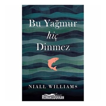Bu Yağmur Hiç Dinmez - Niall Williams