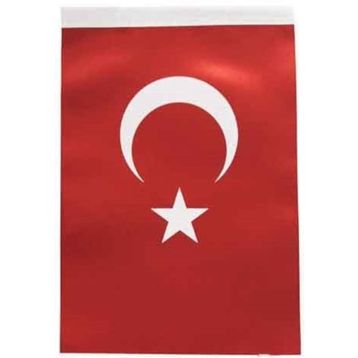 Buket BKT-101 20x30 cm Türk Bayrağı