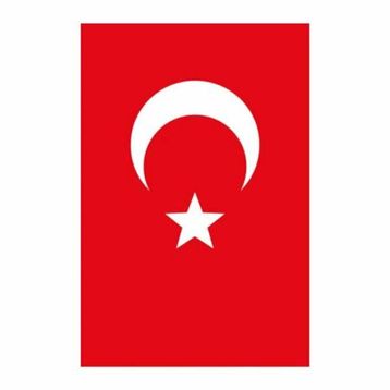 Buket BKT-112 300x450 cm Türk Bayrağı