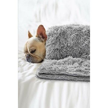 Bundera Peluş Evcil Kedi Minderi Yuvası Evi Kulübesi Matı Örtüsü 60x90 cm Gri Kedi Köpek Yatağı Battaniyesi