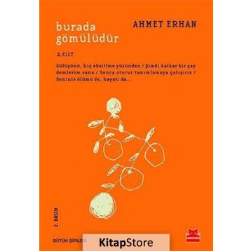 Burada Gömülüdür 2. Cilt - Ahmet Erhan