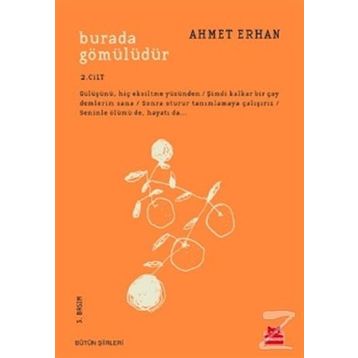 Burada Gömülüdür 2. Cilt - Ahmet Erhan
