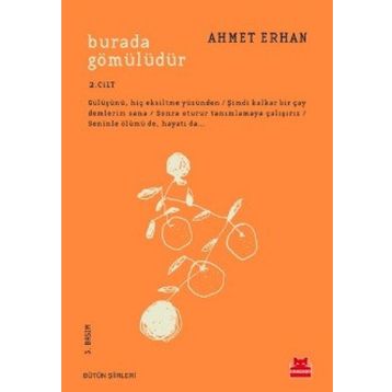 Burada Gömülüdür 2. Cilt - Ahmet Erhan