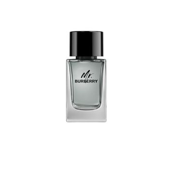 Burberry Mr. Burberry EDT 100 ml Erkek Parfüm