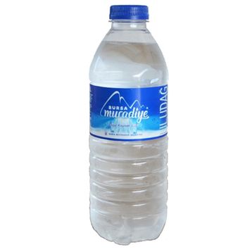 Bursa Su 500 ml Pet Şişe Su