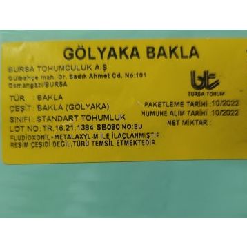 Bursa Tohum 250 gr Gölyaka Bakla Tohumu