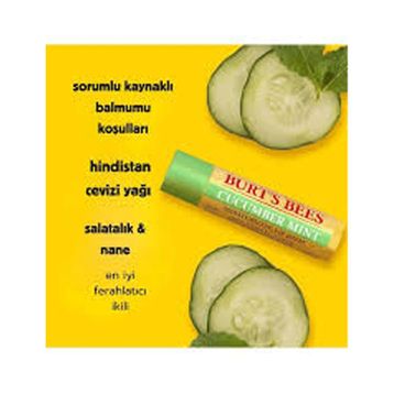 Burt's Bees 4.25 gr Salatalık ve Nane Aromalı Nemlendirici Dudak Balmı
