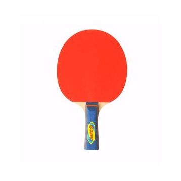 Busso Hudson 2 Yıldız Masa Tenisi Raketi