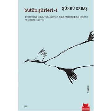 Bütün Şiirleri 1 - Şükrü Erbaş