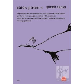 Bütün Şiirleri 4 - Şükrü Erbaş