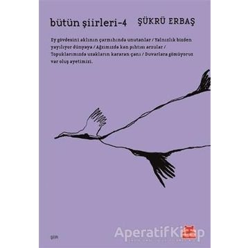 Bütün Şiirleri 4 - Şükrü Erbaş