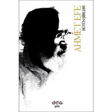 Bütün Şiirleri / Ahmet Efe