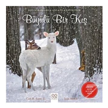 Büyülü Bir Kış - Carl R. Sams II Jean Stoick