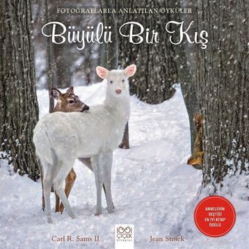 Büyülü Bir Kış - Carl R. Sams II Jean Stoick
