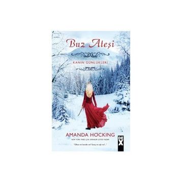 Buz Ateşi - Amanda Hocking