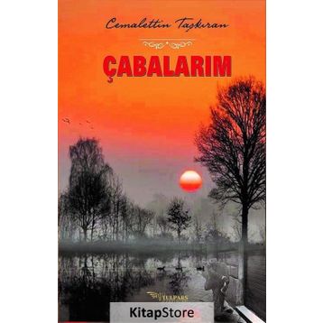 Çabalarım - Cemalettin Taşkıran