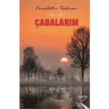 Çabalarım - Cemalettin Taşkıran