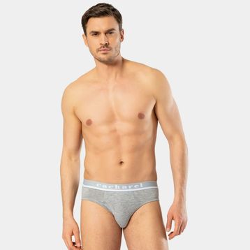 Cacharel 1311 Gri Likralı Bantlı Erkek Slip Külot