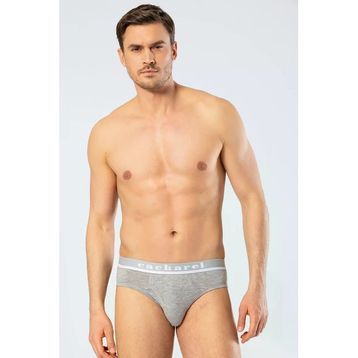 Cacharel 1311 Gri Likralı Bantlı Erkek Slip Külot