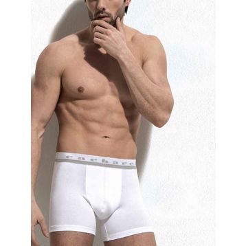 Cacharel 1315 Erkek Boxer