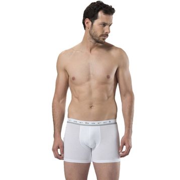 Cacharel 1315 Erkek Boxer