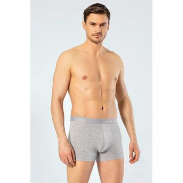 Cacharel 1405 Gri Erkek Boxer