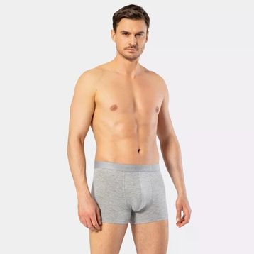 Cacharel 1405 Gri Erkek Boxer