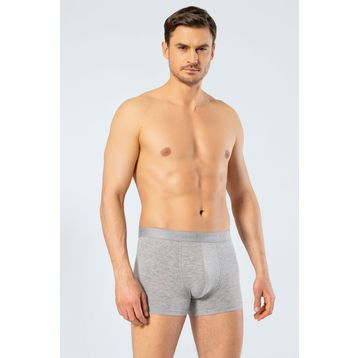 Cacharel 1405 Gri Erkek Boxer
