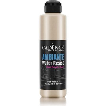 Cadence 250 ml Metalik Platin Ambiente Islak Zemin Boyası + 10 gr Katalizör