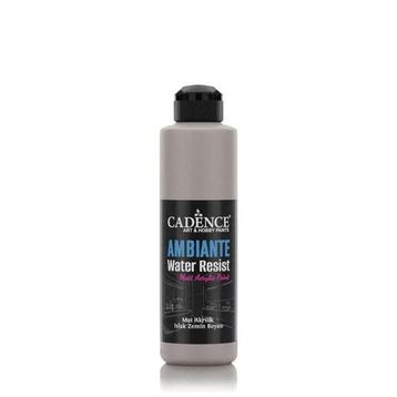 Cadence 250 ml Vizon Gri Ambiente Islak Zemin Boyası + 10 gr Katalizör