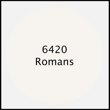 Cadence 6420 Romans 500 ml Premium Akrilik