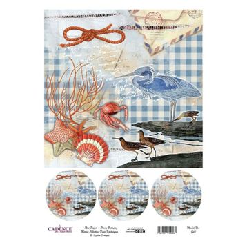 Cadence 843 Pirinç Dekupaj Kağıdı