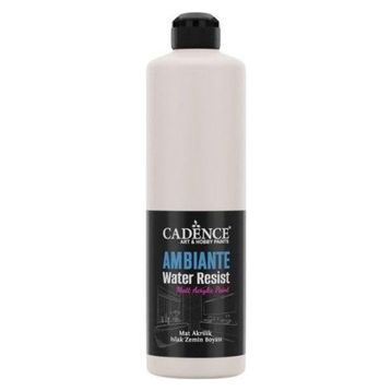 Cadence Ambiante AW 05 Fildişi Sahili 500 ml Islak Zemin Boyası+20 gr Katalizor