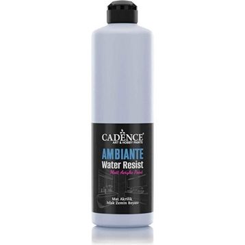 Cadence Ambiante AW 08 Arduvaz Gri 500 ml Islak Zemin Boyası+20 gr Katalizor