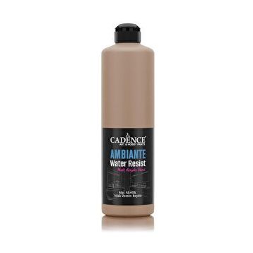Cadence Ambiante AW 16 Karton 500 ml Islak Zemin Boyası+20 gr Katalizor