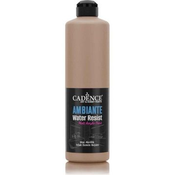 Cadence Ambiante AW 16 Karton 500 ml Islak Zemin Boyası+20 gr Katalizor