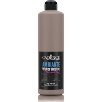 Cadence Ambiante AW 17 Vizon 250 ml Islak Zemin Boyası+10 gr Katalizor