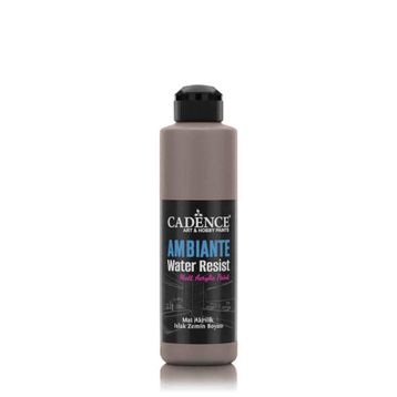 Cadence Ambiante AW 17 Vizon 250 ml Islak Zemin Boyası+10 gr Katalizor