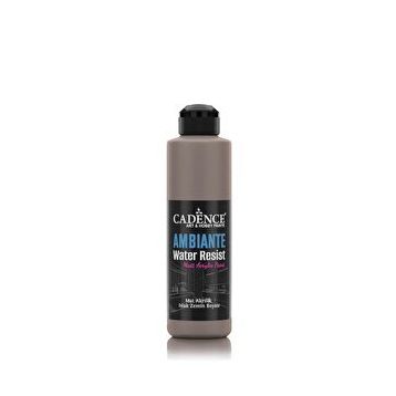 Cadence Ambiante AW 17 Vizon 250 ml Islak Zemin Boyası+10 gr Katalizor