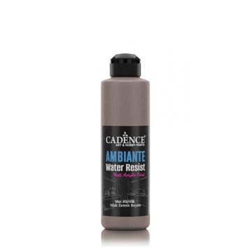 Cadence Ambiante AW 17 Vizon 250 ml Islak Zemin Boyası+10 gr Katalizor