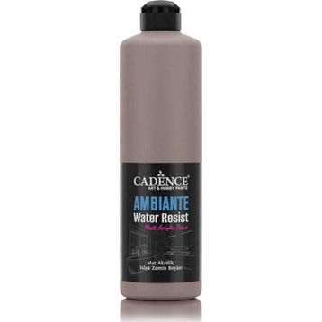 Cadence Ambiante AW 17 Vizon 500 ml Islak Zemin Boyası+20 gr Katalizor