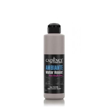 Cadence Ambiante AW 19 Vizon Gri 250 ml Islak Zemin Boyası+10 gr Katalizor